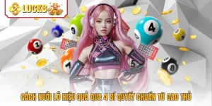 Cách Nuôi Lô Hiệu Quả Qua 4 Bí Quyết Chuẩn Từ Cao Thủ